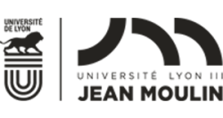  Université Jean Moulin Lyon III