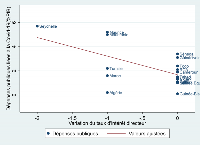 Figure 9 : Dépenses publiques liées à la Covid-19 et taux d&apos;intérêt directeur (2021)